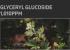 Тканевая премиум-маска с золотом и икрой JMsolution - Active Golden Caviar Mask Premium, 33 ml