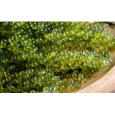 Лифтинг маска для эластичности кожи JMsolution The Natural Sea Grape Mask Moisture
