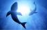 Тканевая маска с экстрактом акулы JMsolution Active Shark Squalane Balancing Mask